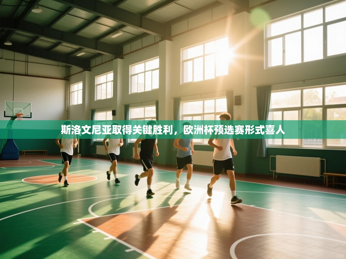 云开体育官网入口登录网页-斯洛文尼亚取得关键胜利,欧洲杯预选赛形式喜人 第4张