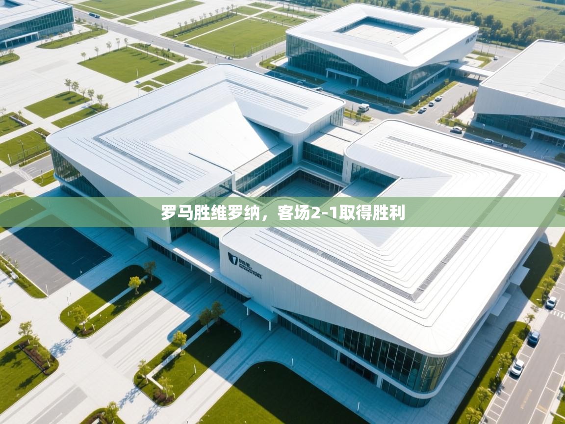 开云官网-罗马胜维罗纳，客场2-1取得胜利  第3张