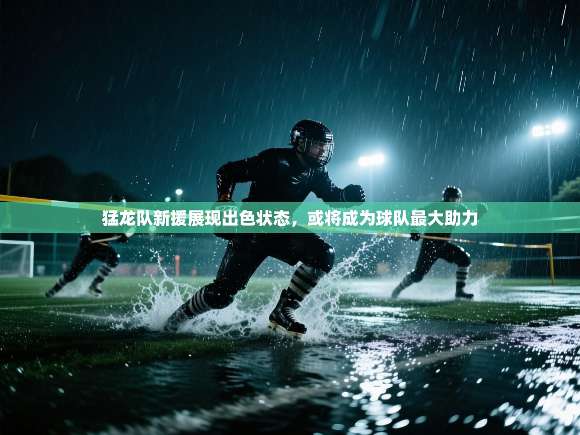 开云体育入口-猛龙队新援展现出色状态，或将成为球队最大助力