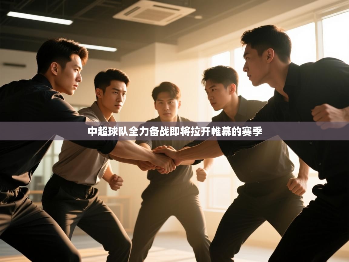 云开体育app官网入口-中超球队全力备战即将拉开帷幕的赛季  第2张